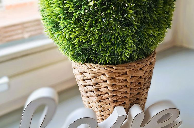 Appartement Große Auszeit