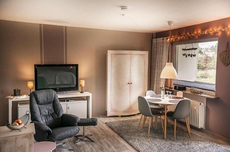 Guest house 0221439 - Apartment Harz - Appartement Harzgeiss