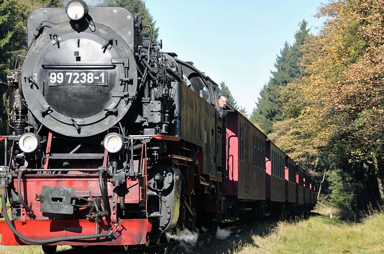 Appartement Große und moderne Ferienwohnung im Erdgeschoss