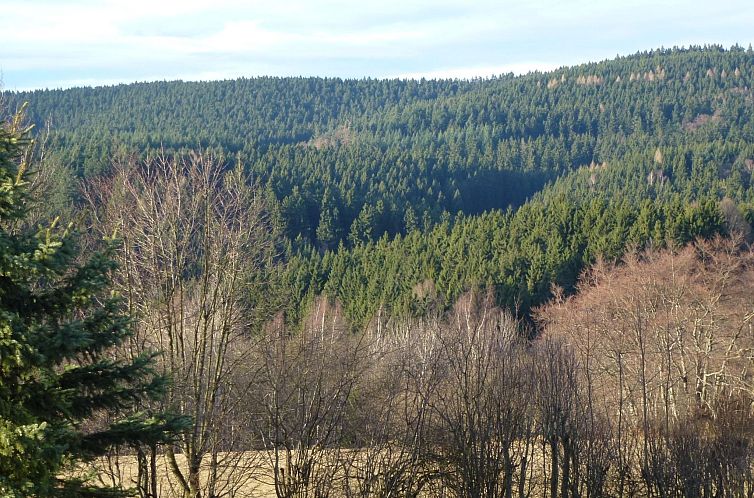 Appartement mit Blick auf die Berge