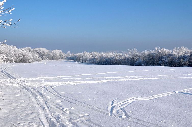 Appartement mit Garten und Spielplatznutzung