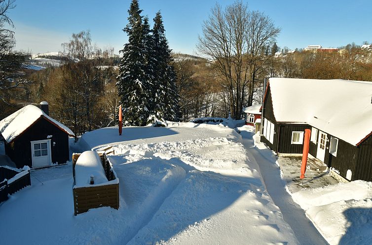 Appartement Wohnung in Hohegeiß mit Grill und Garten