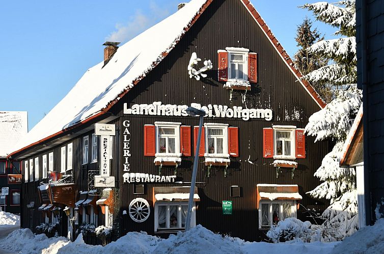 Appartement Wohnung in Hohegeiß mit Grill und Garten
