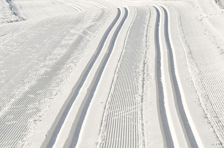 Appartement Wohnung in Hohegeiß mit Grill und Garten