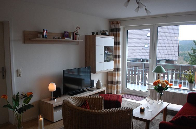 Appartement mit Balkon in Hohegeiß