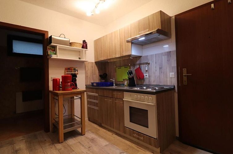 Appartement Gemütliche Ferienwohnung direkt im Skigebiet