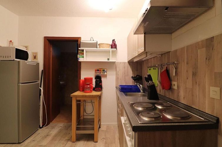 Appartement Gemütliche Ferienwohnung direkt im Skigebiet