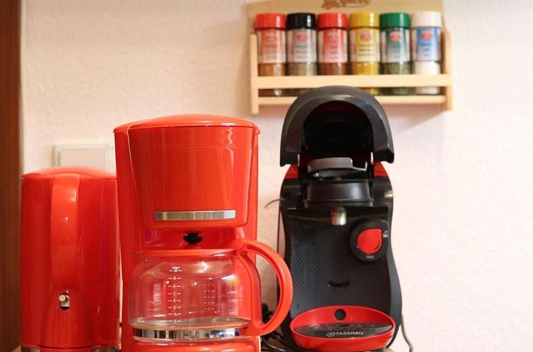 Appartement Gemütliche Ferienwohnung direkt im Skigebiet