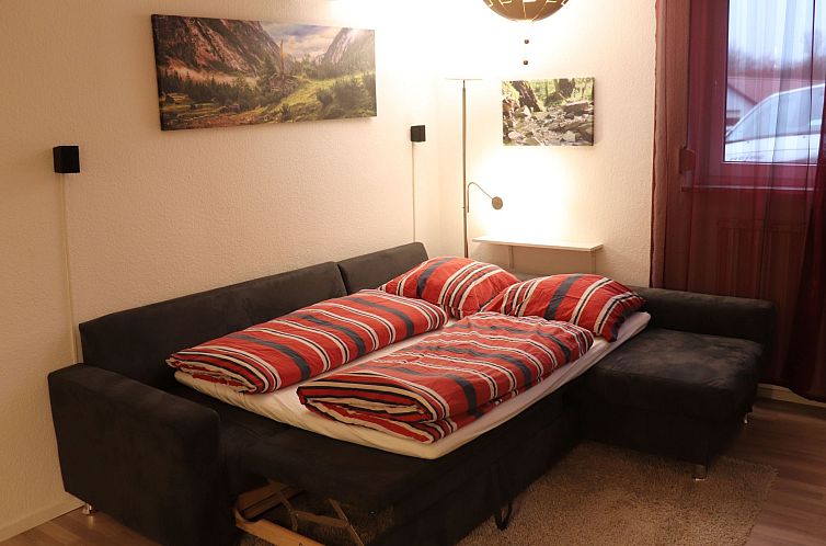 Appartement Gemütliche Ferienwohnung direkt im Skigebiet