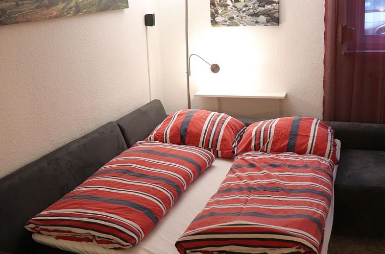 Appartement Gemütliche Ferienwohnung direkt im Skigebiet