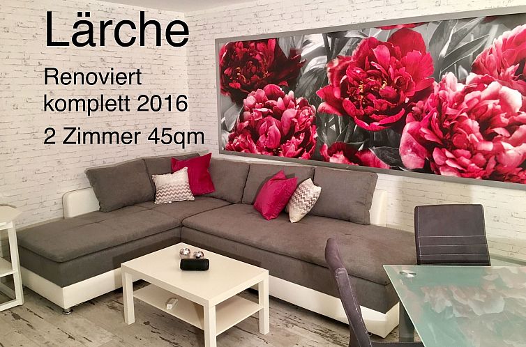 Guest house 0221454 - Apartment Harz - Appartement in Braunlage