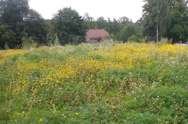 Appartement in Braunlage