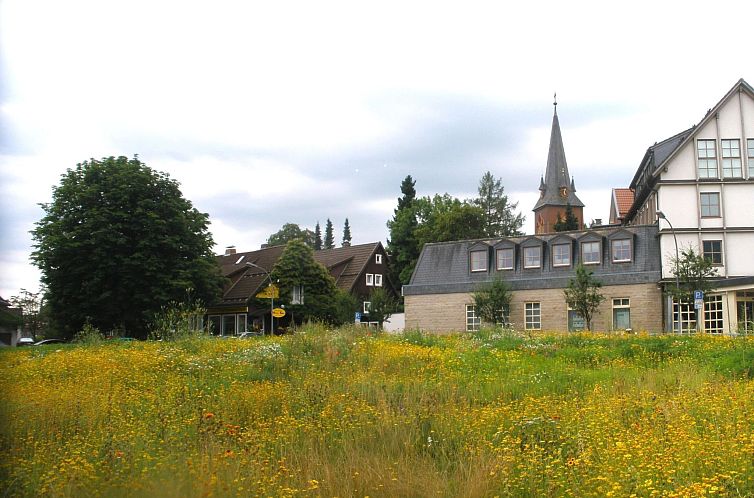 Appartement in Braunlage