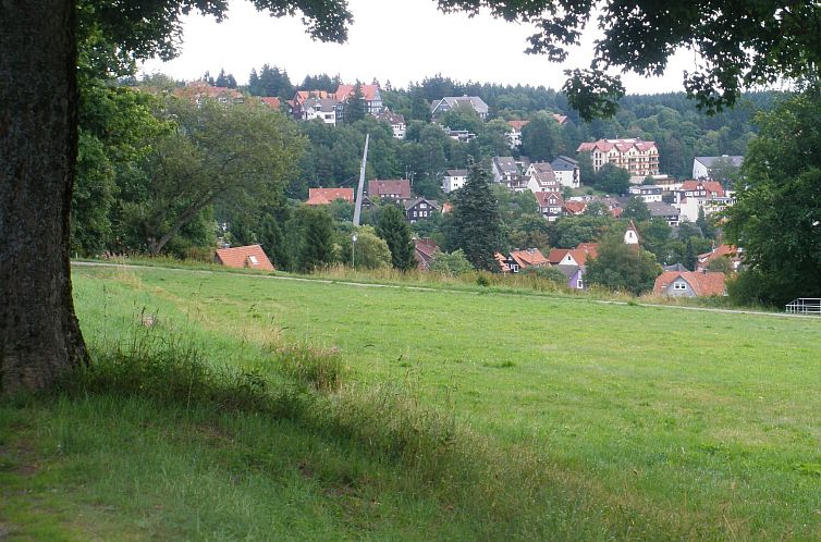 Appartement Tanne
