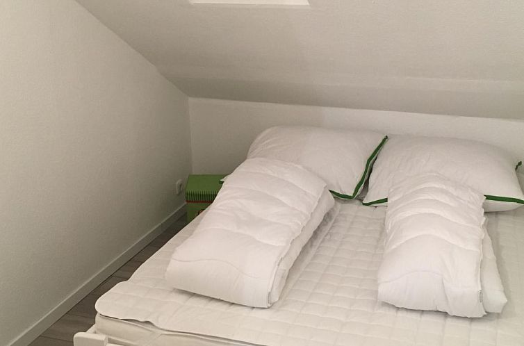 Appartement Moderne Ferienwohnung Mila in Braunlage
