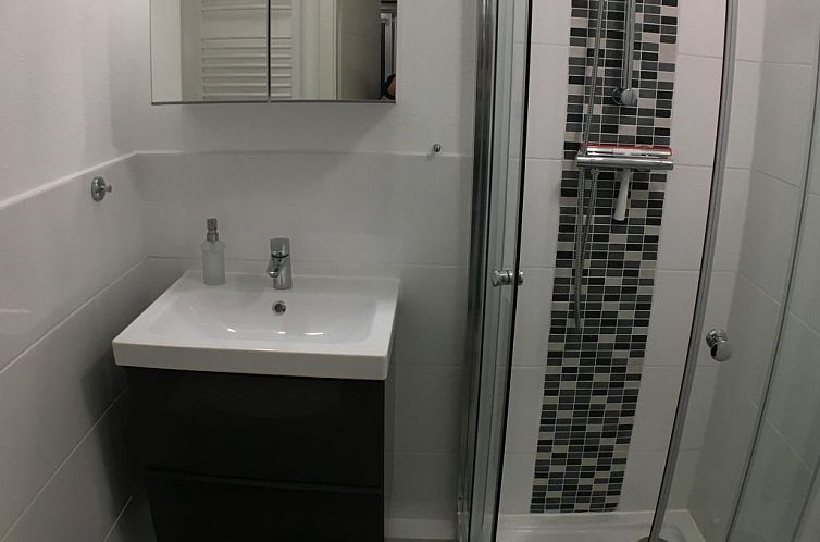 Appartement Moderne Ferienwohnung Mila in Braunlage