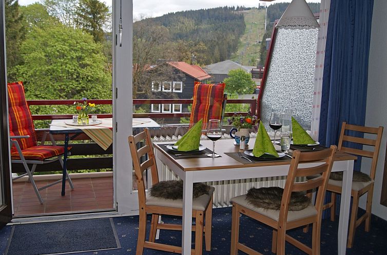 Appartement gemütliche Ferienwohnung mit Bocksbergblick