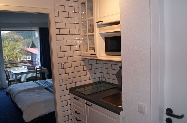 Appartement gemütliche Ferienwohnung mit Bocksbergblick
