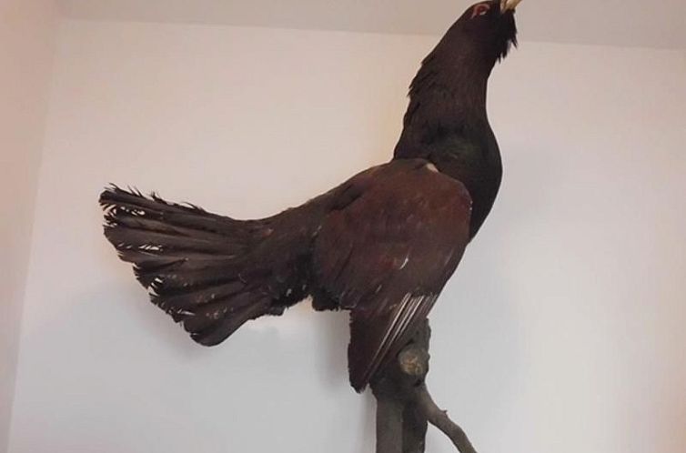 Appartement Großzügige Wohnung mit Bergblick im Haus Hopfe