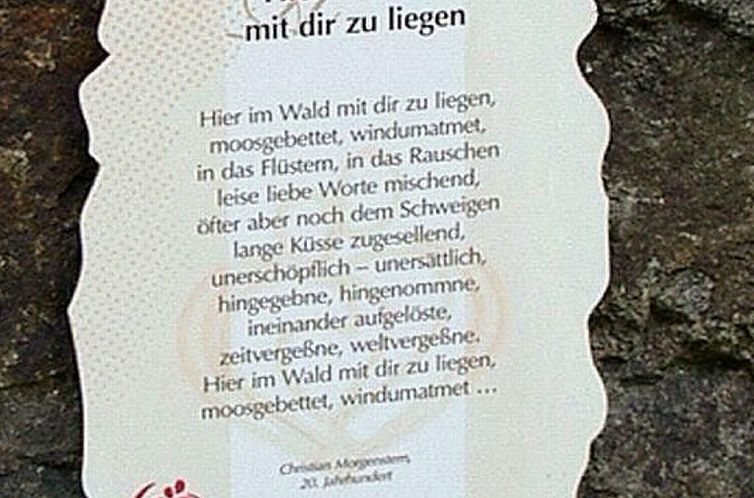 Appartement Premium-Ferienwohnung mit Bergblick im Haus Hopf