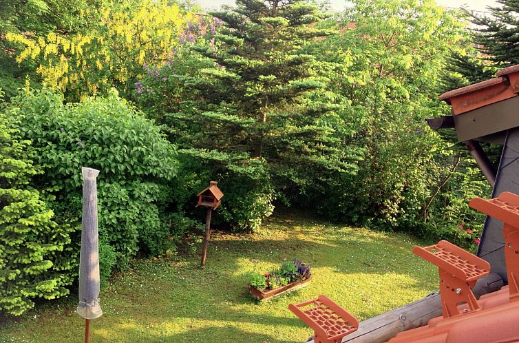 Vakantiehuis Sequoia