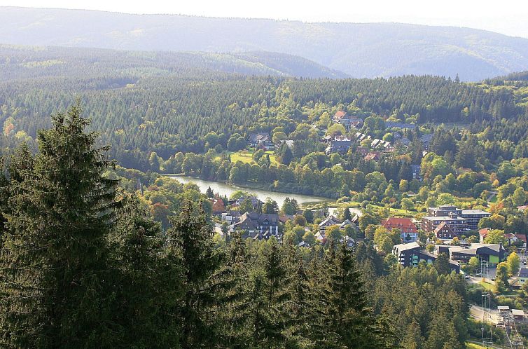 Vakantiehuis Sequoia