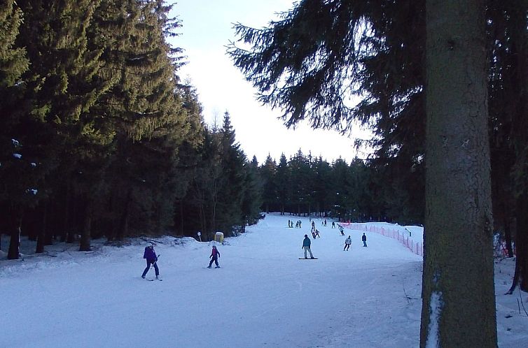 Vakantiehuis Sequoia