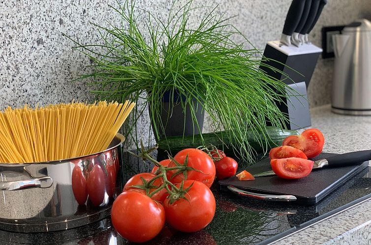 Appartement Ferienwohnung mit Infrarotwärmekabine