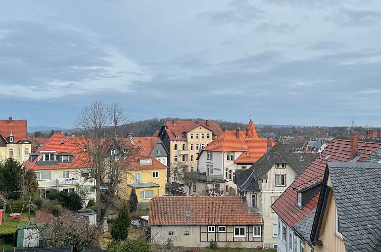 Appartement Altstadtnahe Wohnung Villa Harmening in Goslar