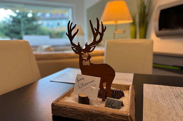 Appartement Ferienwohnung mit Infrarotwärmekabine