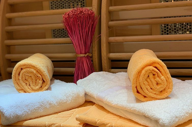 Appartement Ferienwohnung mit Infrarotwärmekabine