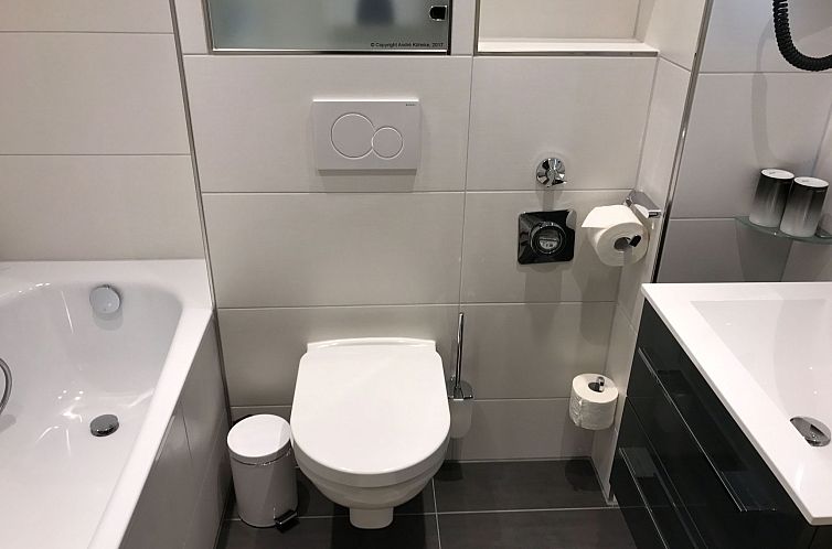 Appartement Ferienwohnung mit Infrarotwärmekabine