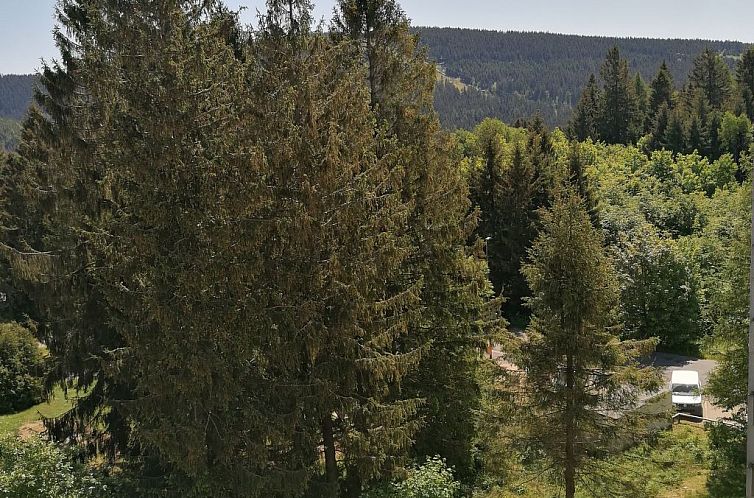 Appartement Wohnung in Hahnenklee