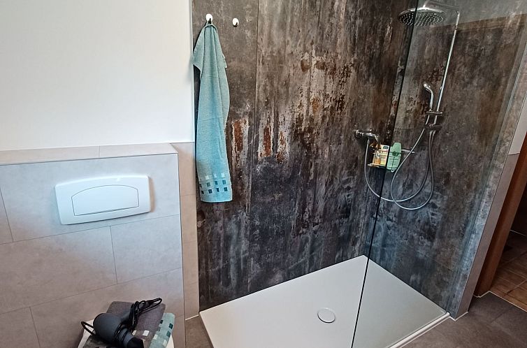 Unterkunft 02214927 - Appartement Harz - Appartement Burgi EG Hahnenklee