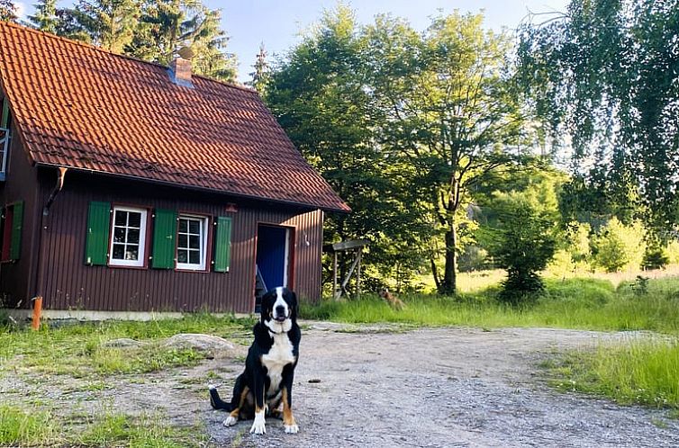 Gemuetliches Ferienhaus in Wernigerode, Harz. Geniessen Sie die Ruhe und die Natur rund um dieses Ferienhaus in Deutschland.