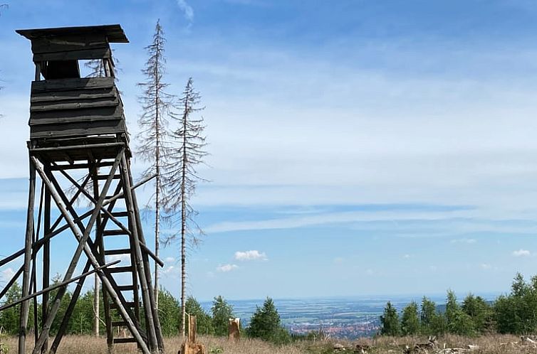 Vakantiehuis in Wernigerode