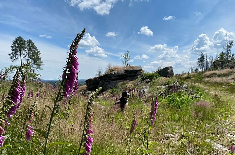 Huisje in Wernigerode