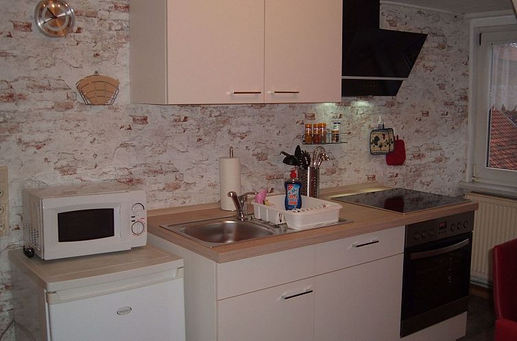 Appartement Große Ferienwohnung in Wernigerode mit Garten