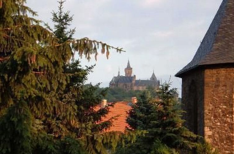 Appartement Große Ferienwohnung in Wernigerode mit Garten