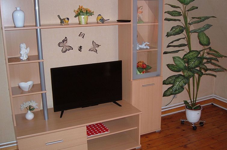 Appartement Große Ferienwohnung in Wernigerode mit Garten