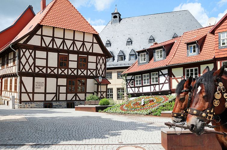 Appartement Große Ferienwohnung in Wernigerode mit Garten