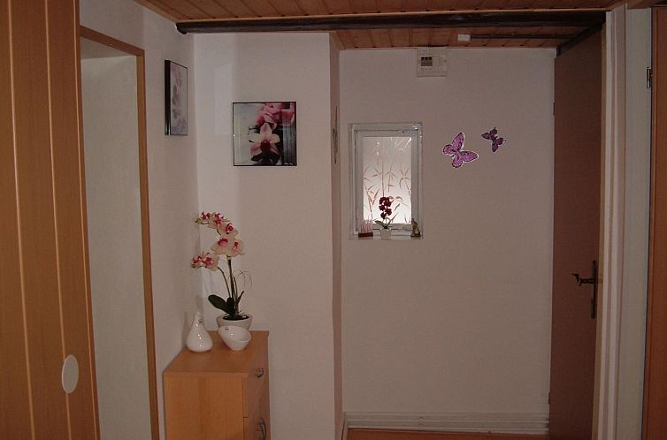 Appartement Wohnung in Wernigerode mit Garten
