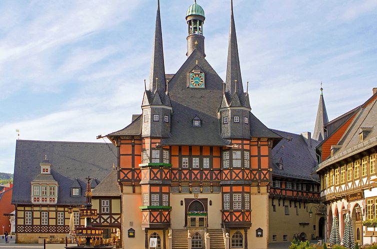 Appartement Wohnung in Wernigerode mit Garten