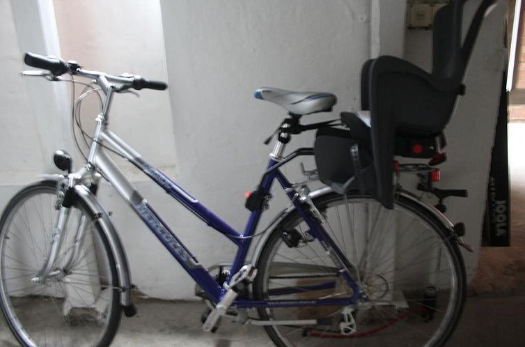 Appartement Gemütliche Wohnung in Wernigerode mit Garten