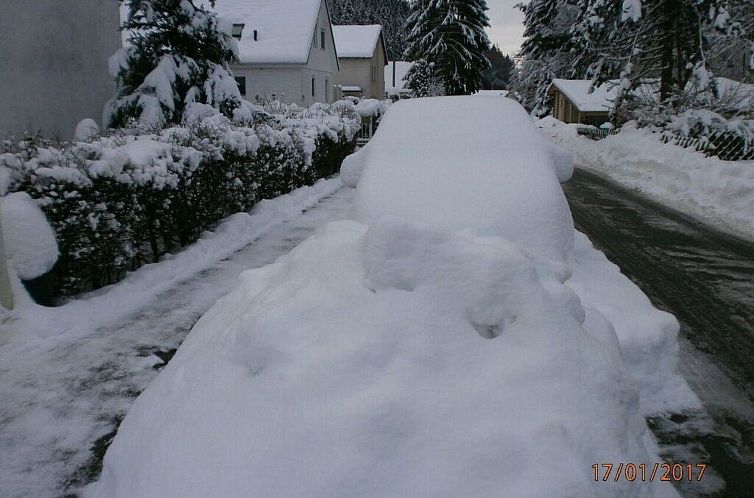 Appartement Appartement in Steina mit Terrasse und Garten