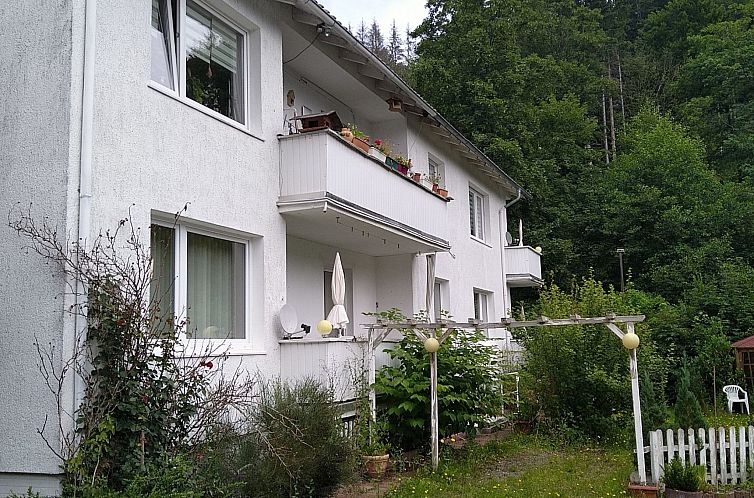 Appartement Appartement in Steina mit Terrasse und Garten