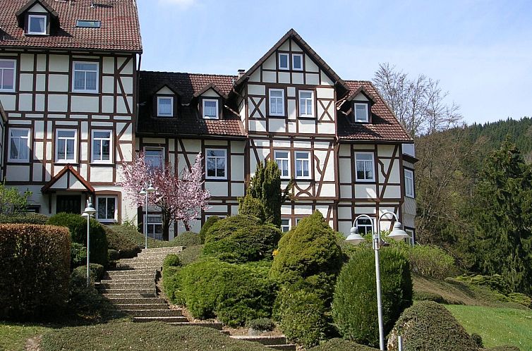 Guest house 0221715 - Apartment Harz - Appartement Der Falkenhorst