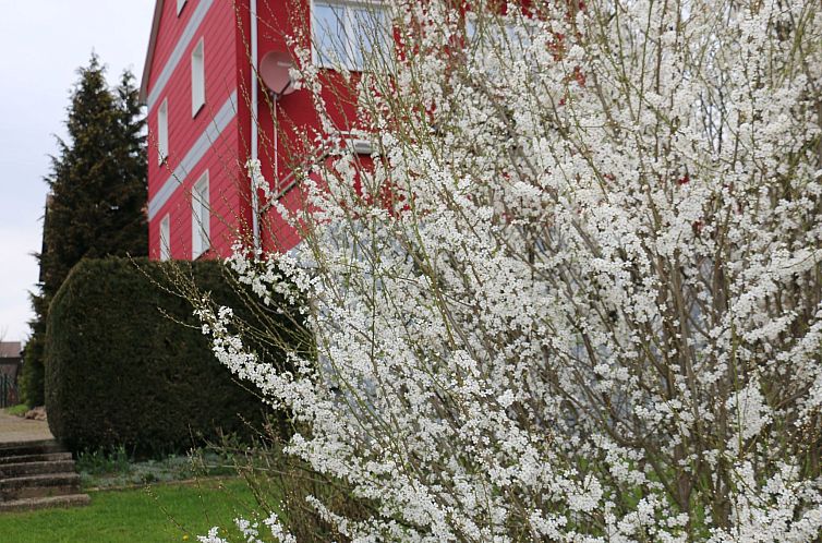 Vakantiehuis SweetHome