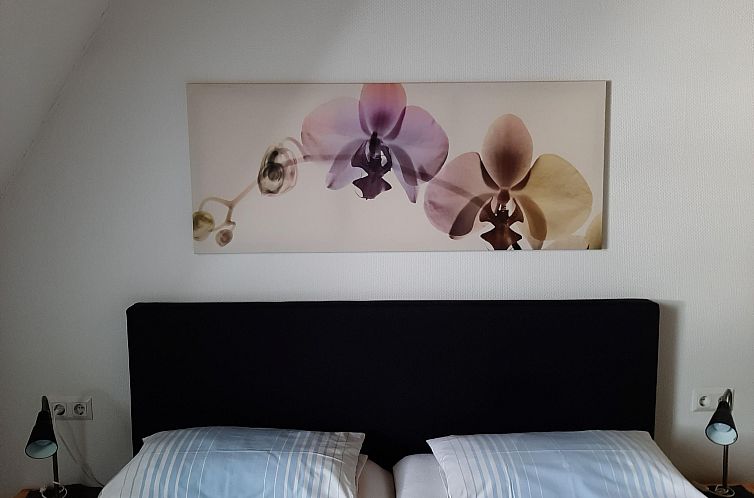 Appartement Fewo Stricker 12