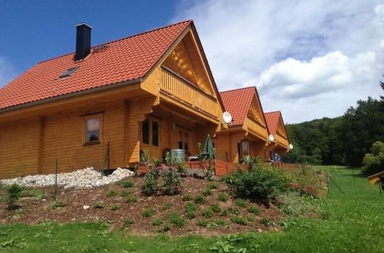 Unterkunft 0221726 - Ferienhaus Harz - Vakantiehuis Wunderschönes Ferienhaus in Steina